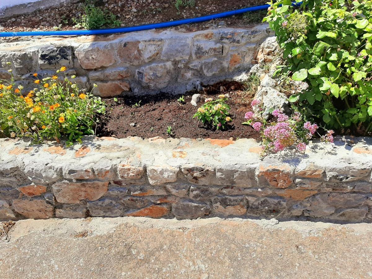 Lemon Garden 1 Βίλα Karidi Εξωτερικό φωτογραφία